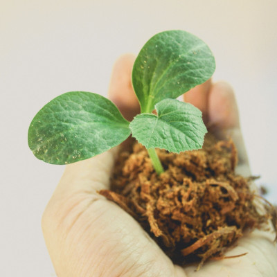 Was moechtest du 2022 wachsen lassen Podcast neuestaerke Folge 96