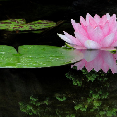 Krise Konflikt gelassener bewältigen