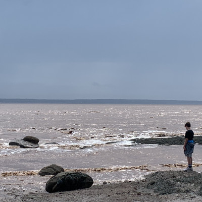 Hopewell Rocks #neuestaerke Podcast Folge 122 Purposecoaching