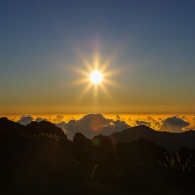 Next Level Leadership Transitions gestalten